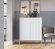 Комод високий Perfect Home Нова / Nova 2-дверний з золотими ніжками K104 Білий (PFH-091233)