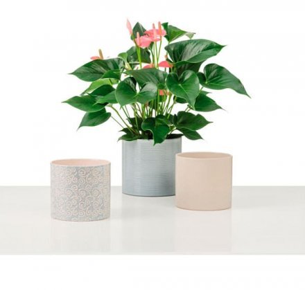 Кашпо для квітів Inspiration кераміка 12" кремовий 53749