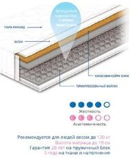Матрац пружинний Чемпіон Cocos 1 70х190х19 см