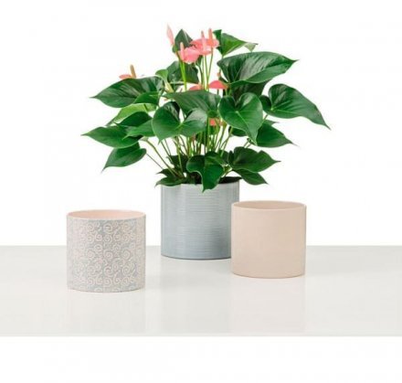 Кашпо для квітів Inspiration кераміка 14" кремовий 53750 Кашпо для квітів Inspiration кераміка 14" кремовий 53750