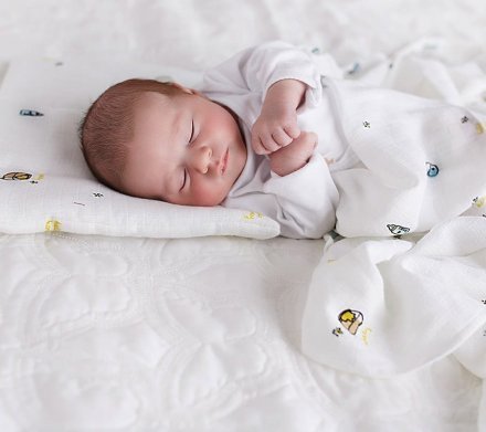 Пелюшка муслинова-плед 100x100 см Honey lullalove-0058