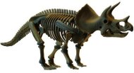 Велика модель скелета Трицератопса d502 Велика модель скелета Трицератопса d502