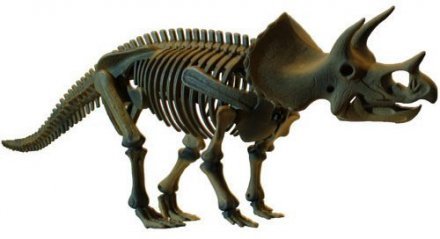 COG DINO Horizons Большая модель скелета Трицератопса d502