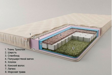 Матрац футон безпружинний Екзотик-1 95х195х9 см