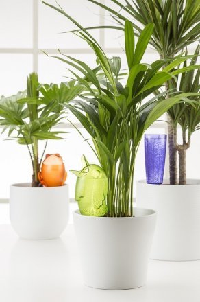 Декоративна ємність для води Пташка розмір М синя 45551