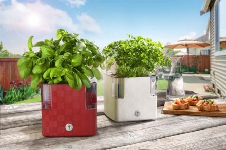 Вазон із системою автополиву Cobble 2,2 л білий (8595096964111) 78999 Вазон із системою автополиву Cobble 2,2 л білий (8595096964111) 78999