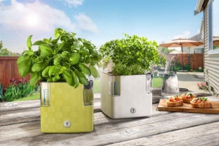 Вазон із системою автополиву Cobble 2,2 л світло-зелений (8595096965729) 79001 Вазон із системою автополиву Cobble 2,2 л світло-зелений (8595096965729) 79001