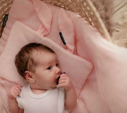 Ковдра всесезонна 65x70 см Powder Pink lullalove-7484 Ковдра всесезонна 65x70 см Powder Pink lullalove-7484